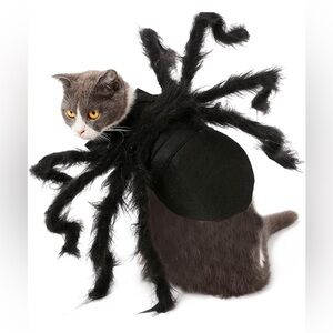 Halloween Pet  Spider Costume - BNWT